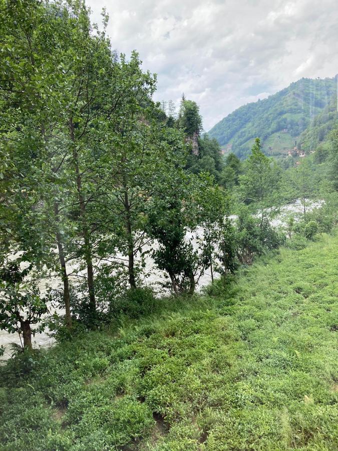 Hotel Vagona Tiny House Rize Esterno foto